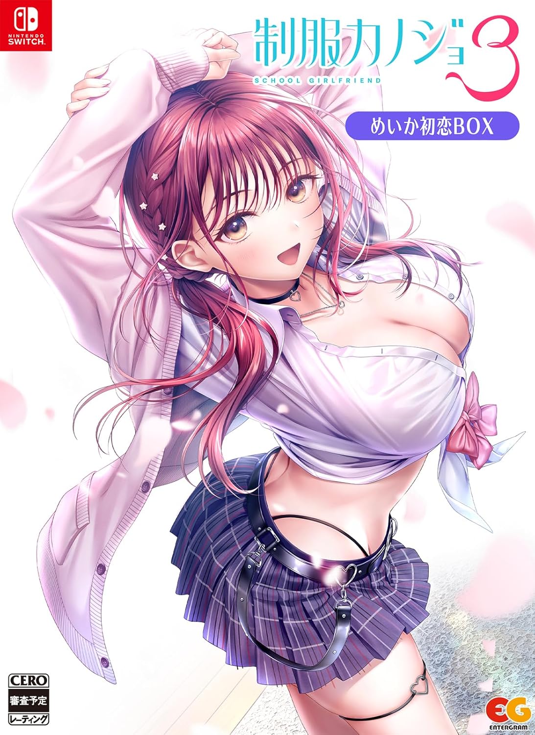 Seifuku Kanojo 3 Meika First Love Box Nintendo Switch official product image