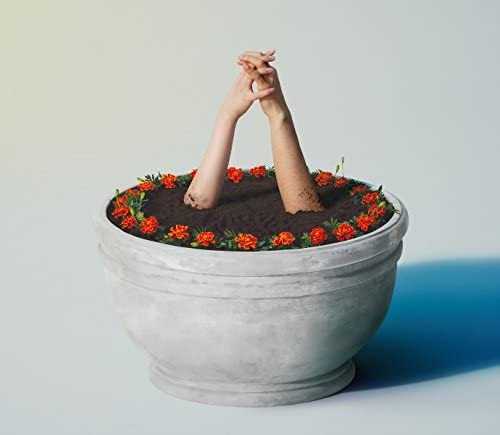 Aimyon Marigold CD - front cover