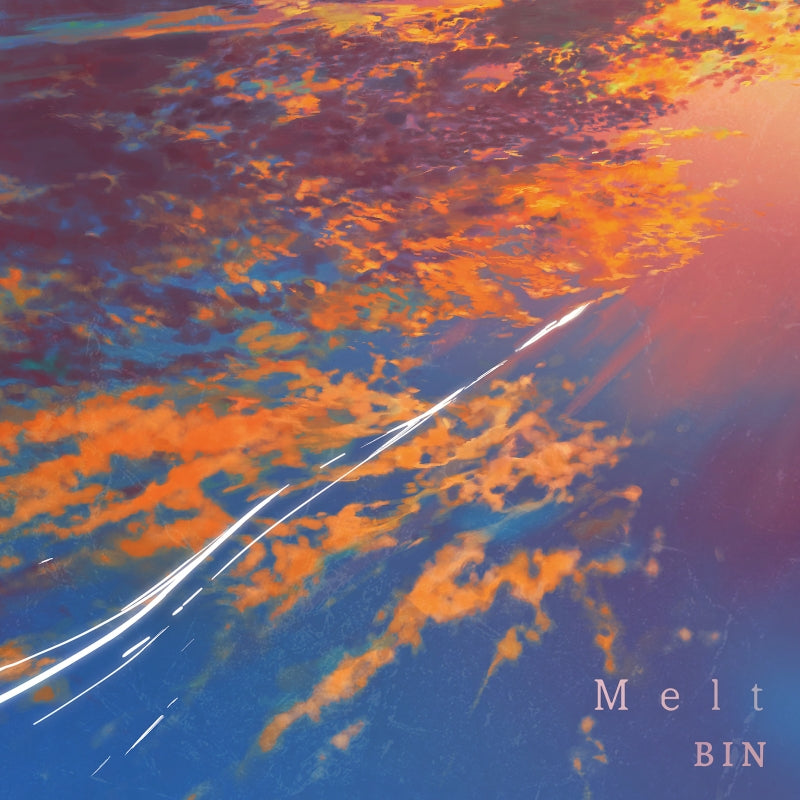 BIN Melt CD cover