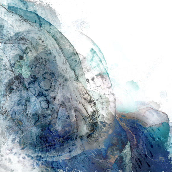 Eve Kaizin Standard Edition CD cover