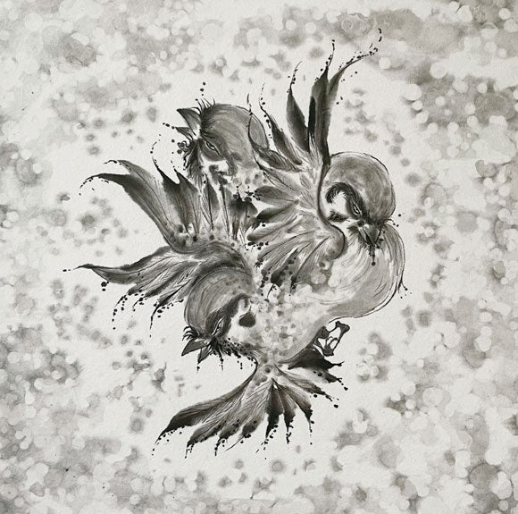 FLOW United Sparrows Limited Edition CD + Blu-ray - front cover
