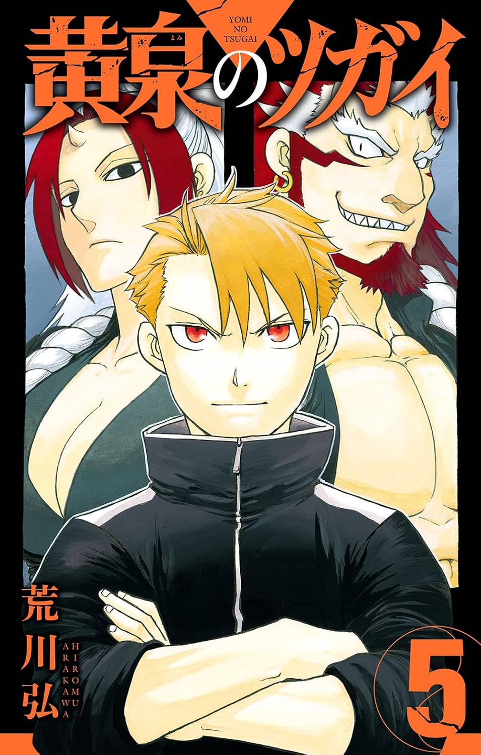 Gangan Comics Daemons of the Shadow Realm Vol. 5 - Square Enix Japanese edition, cover