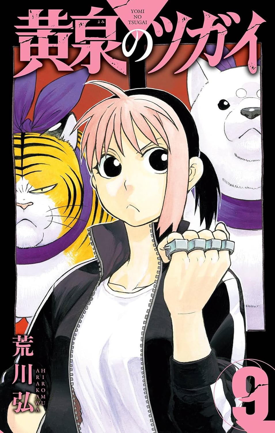 Gangan Comics Daemons of the Shadow Realm Vol. 9 - Square Enix Japanese edition, cover