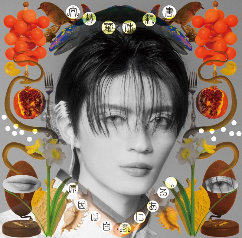 GNJB Bungei Kaitai Manual Kazuto Mokudai edition CD cover