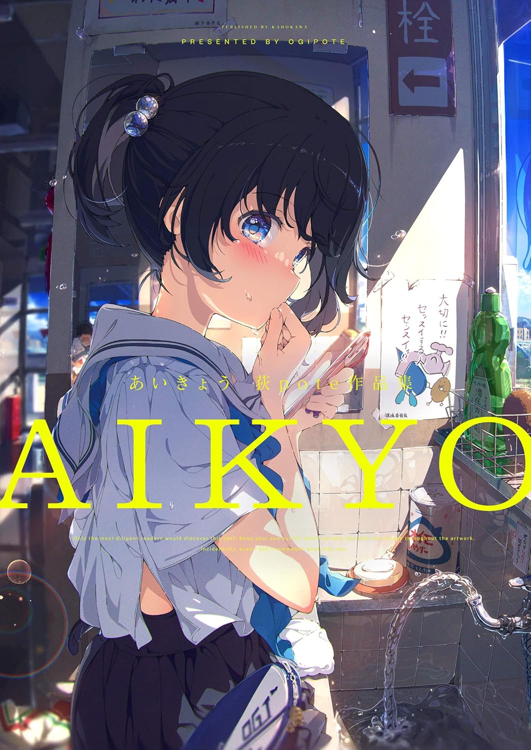 Aikyo - Ogipote Artworks - Japanese edition cover