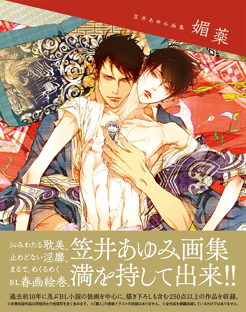 Biyaku - Ayumi Kasai Artbook - Japanese edition cover