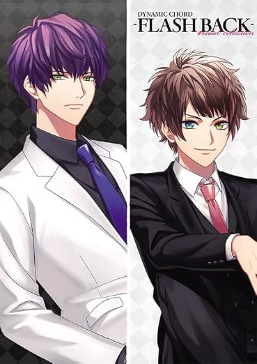 DYNAMIC CHORD Visual Collection - FLASH BACK - Japanese edition cover