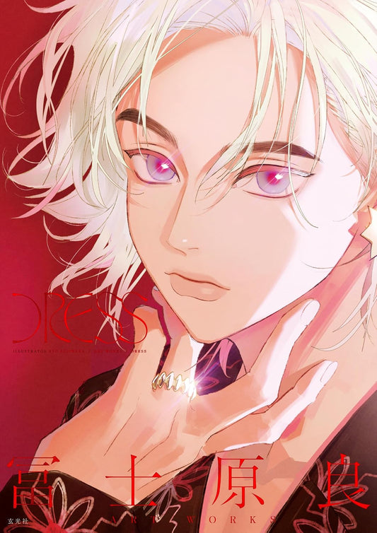 Ryo Fujiwara ART WORKS -DRESS- - Japanese edition cover