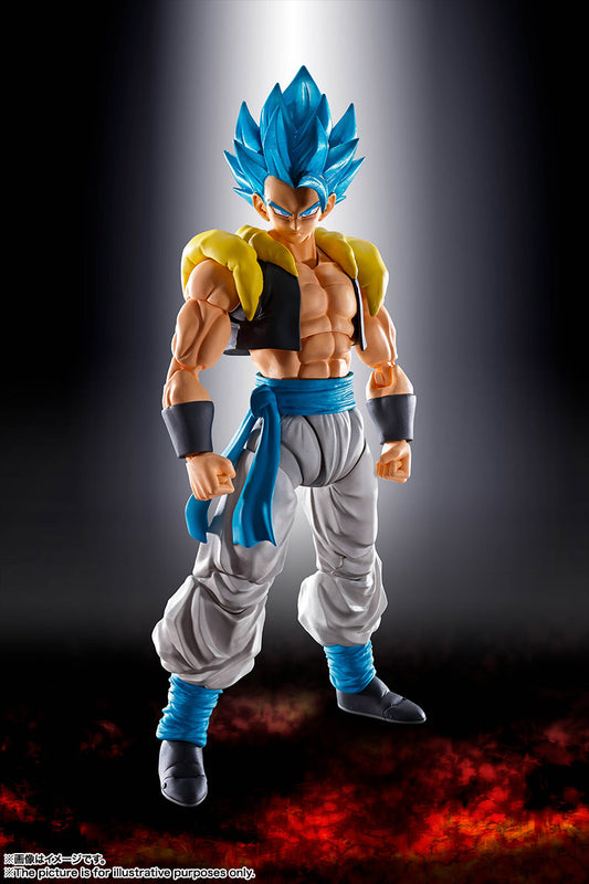BANDAI SPIRITS S.H.Figuarts Super Saiyan God Super Saiyan Gogeta Dragon Ball Super Broly action figure