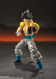 BANDAI SPIRITS S.H.Figuarts Super Saiyan God Super Saiyan Gogeta Dragon Ball Super Broly action figure