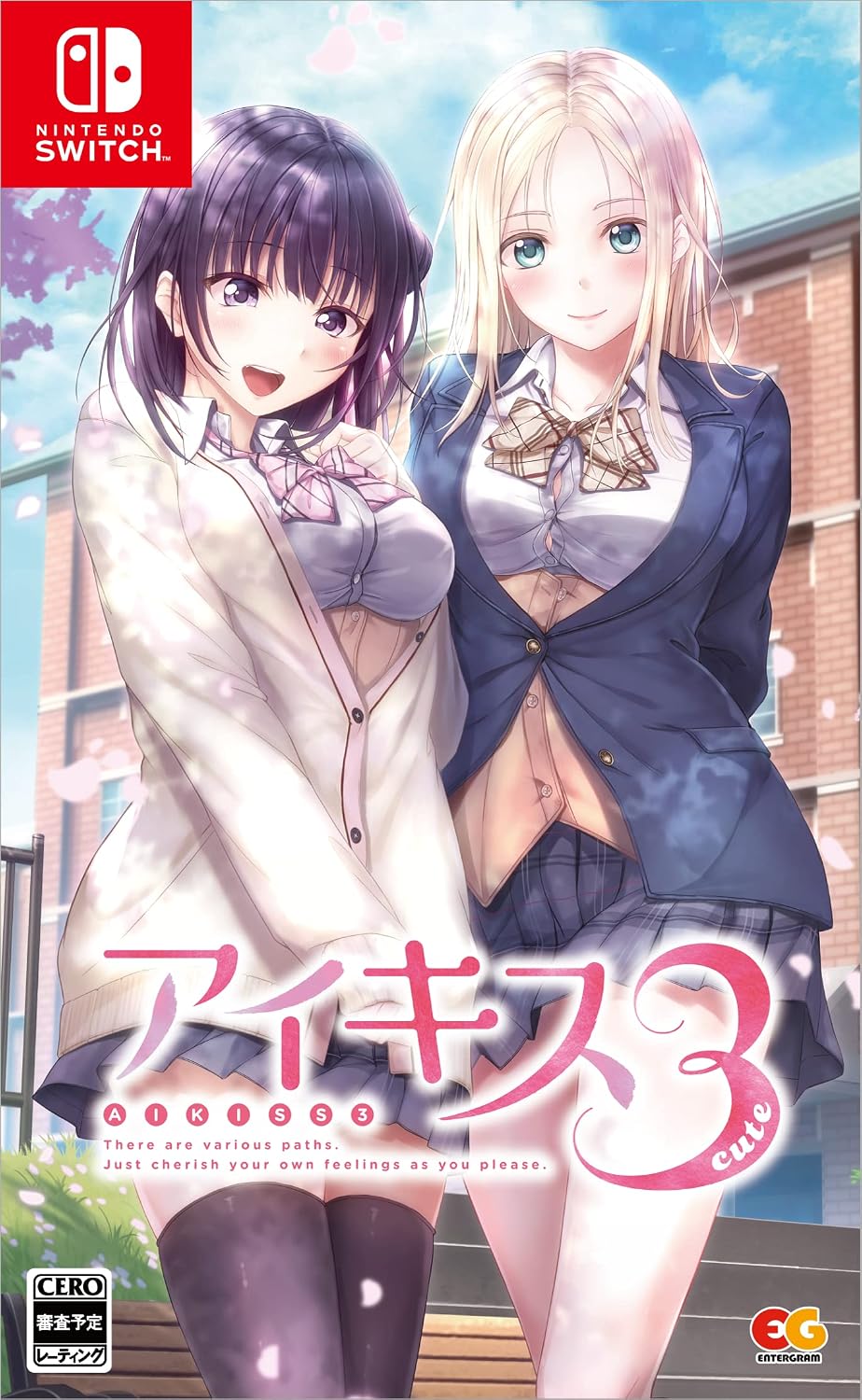 Nintendo Switch Aikiss 3 Cute - official Japanese front cover