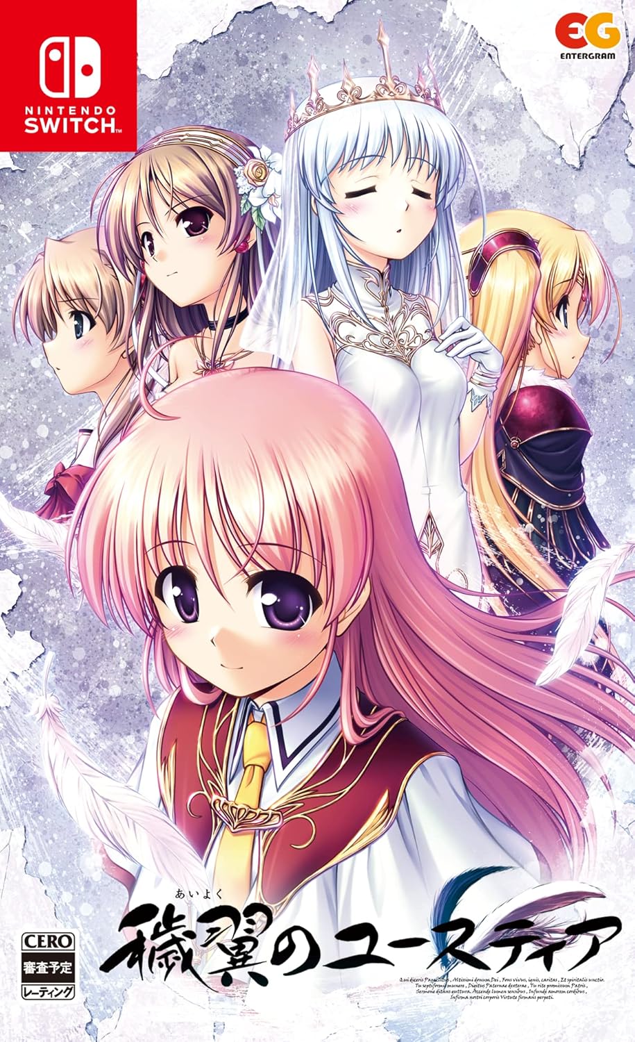 Nintendo Switch Aiyoku no Eustia - official Japanese front cover