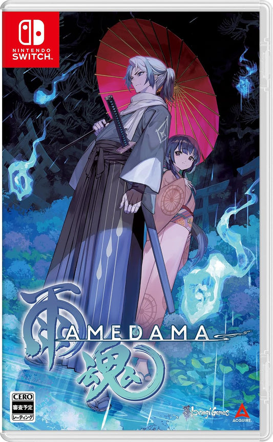 Nintendo Switch AMEDAMA - official Japanese front cover