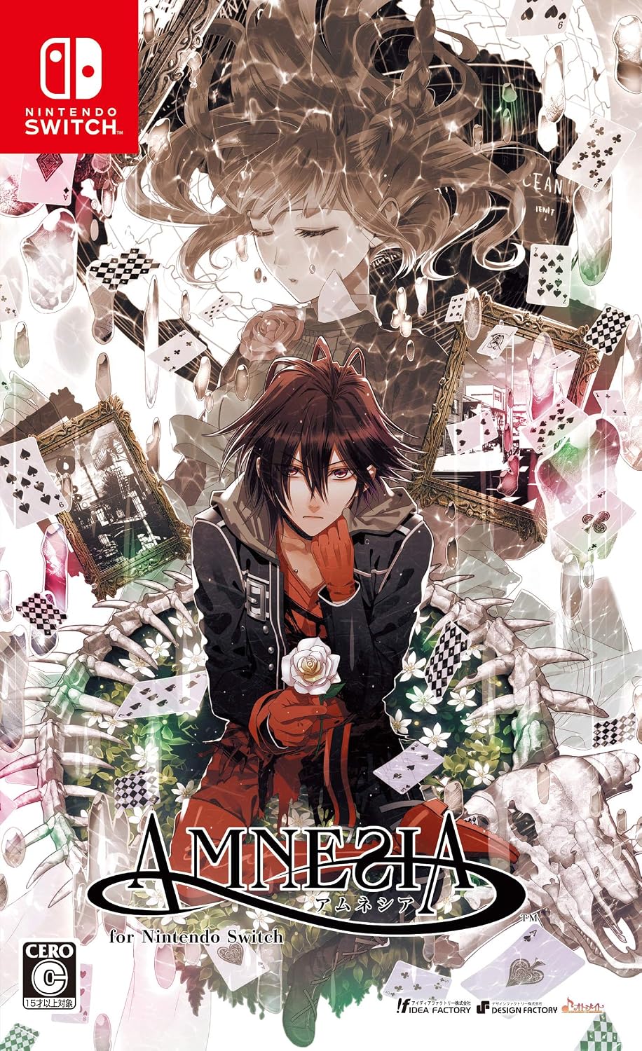Nintendo Switch AMNESIA - official Japanese front cover