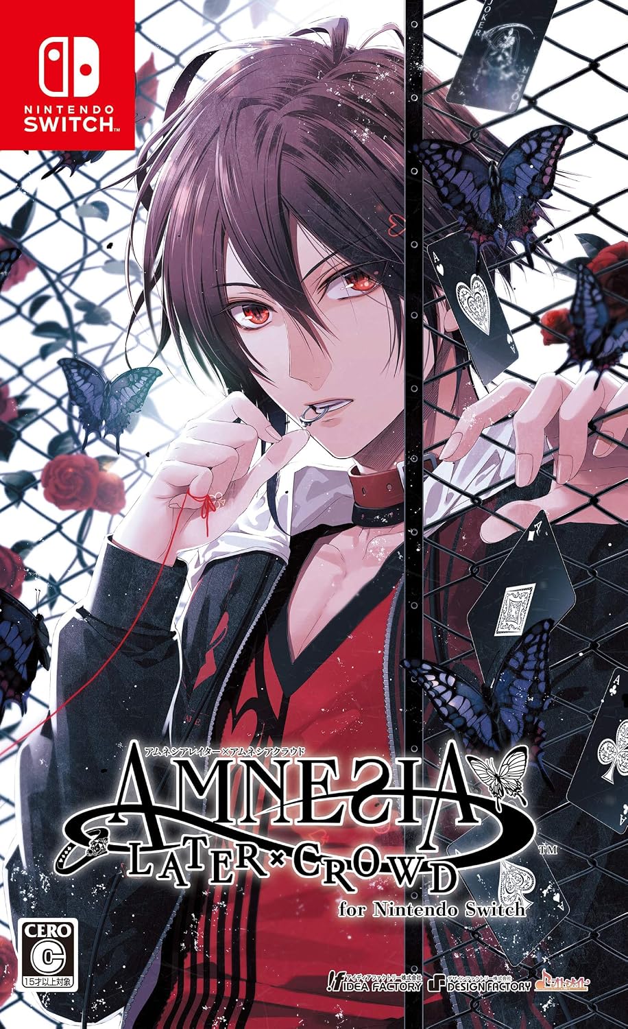 Nintendo Switch AMNESIA Later × Crowd - official Japanese front cover