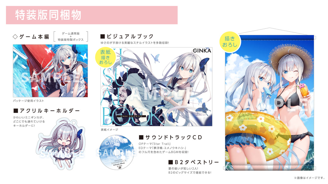 GINKA Special Edition - official contents diagram with package illustration, tapestry, visual book, keychain and soundtrack; Nintendo Switch edition