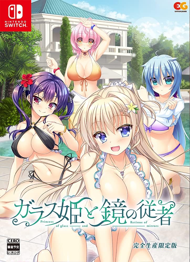 Glass Princess and Mirror Attendant Limited Edition - official Japanese Nintendo Switch physical collector box front, exact limited badge and ordinary beach swimwear illustration