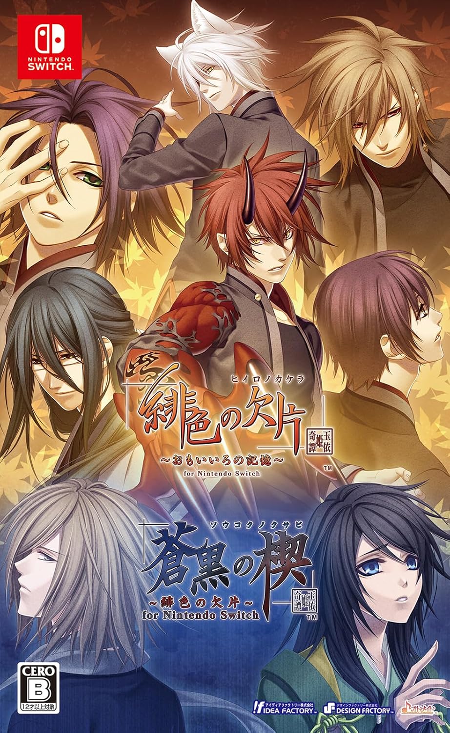 Nintendo Switch Hiiro no Kakera: Tamayorihime Kitan Twin Pack - official Japanese front cover