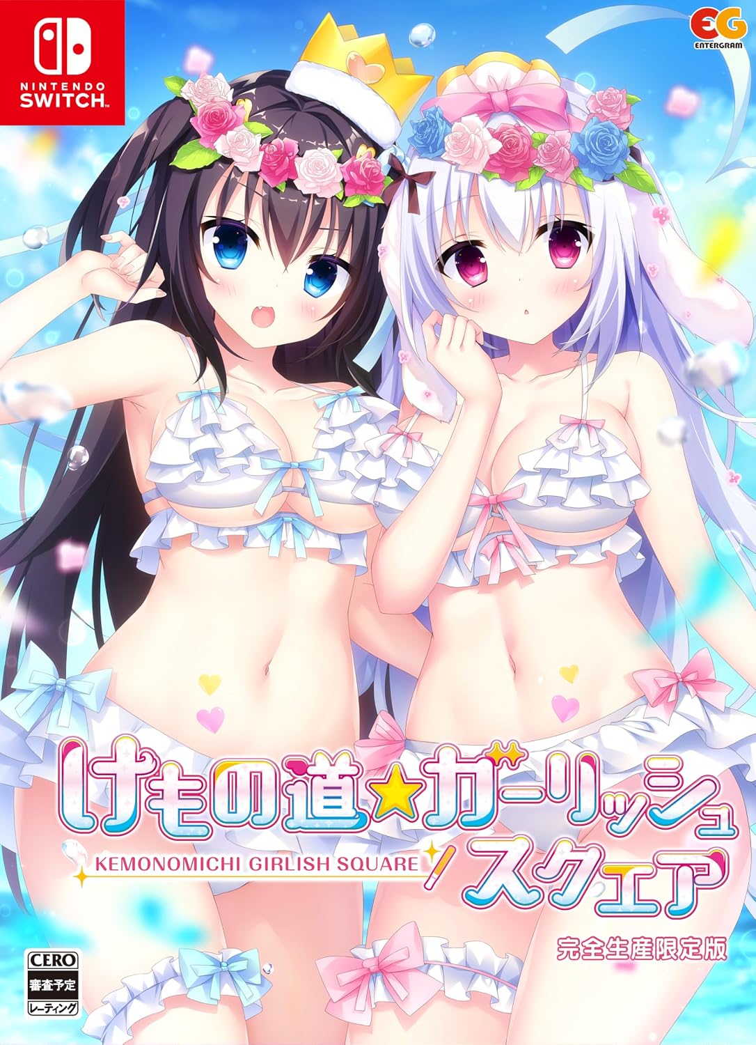 Kemono Michi Girlish Square Limited Edition - official Japanese Nintendo Switch collector box front marked complete production limited edition