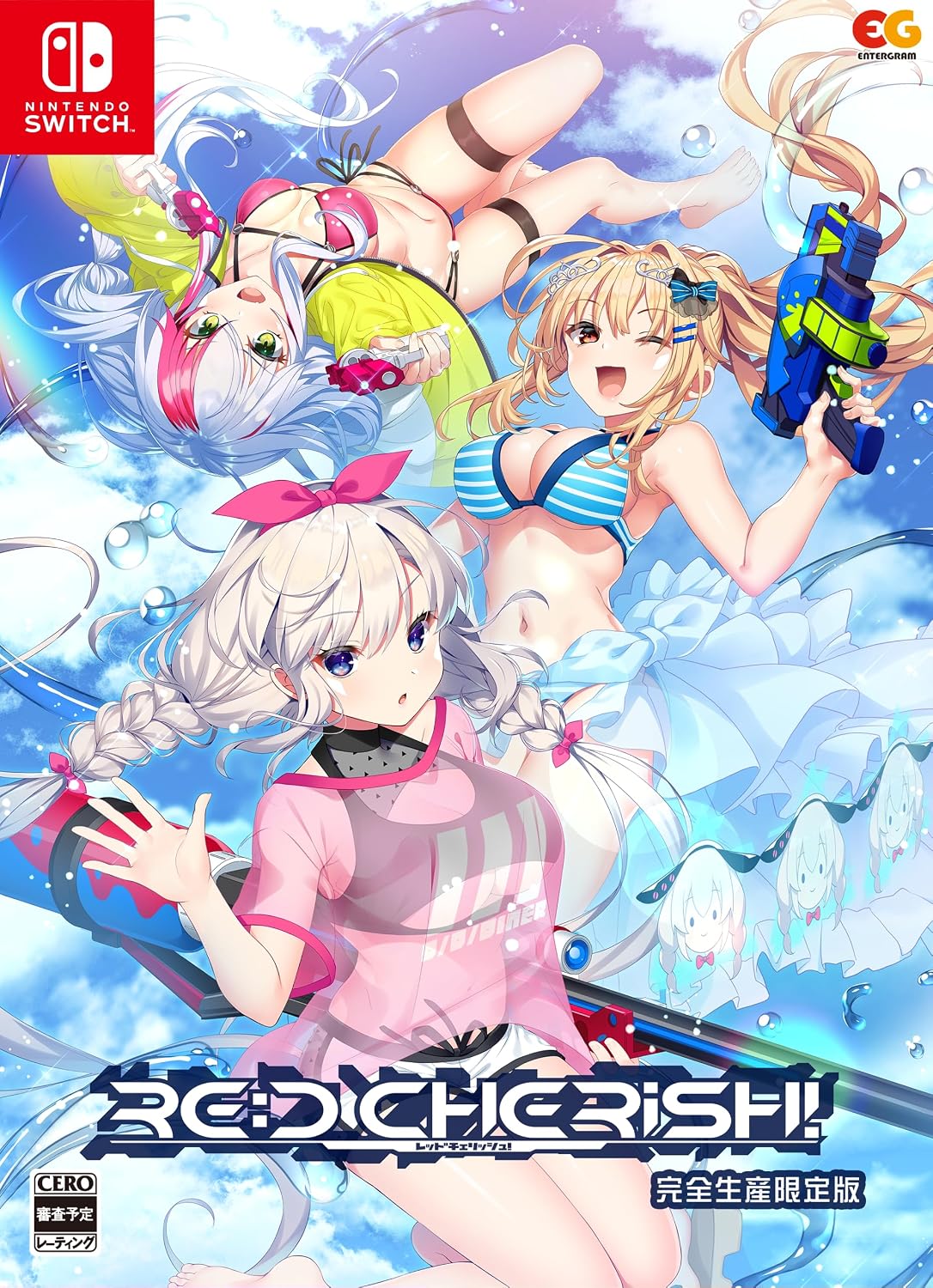 RE D Cherish Limited Edition - official Japanese Nintendo Switch collector box front marked complete-production limited edition