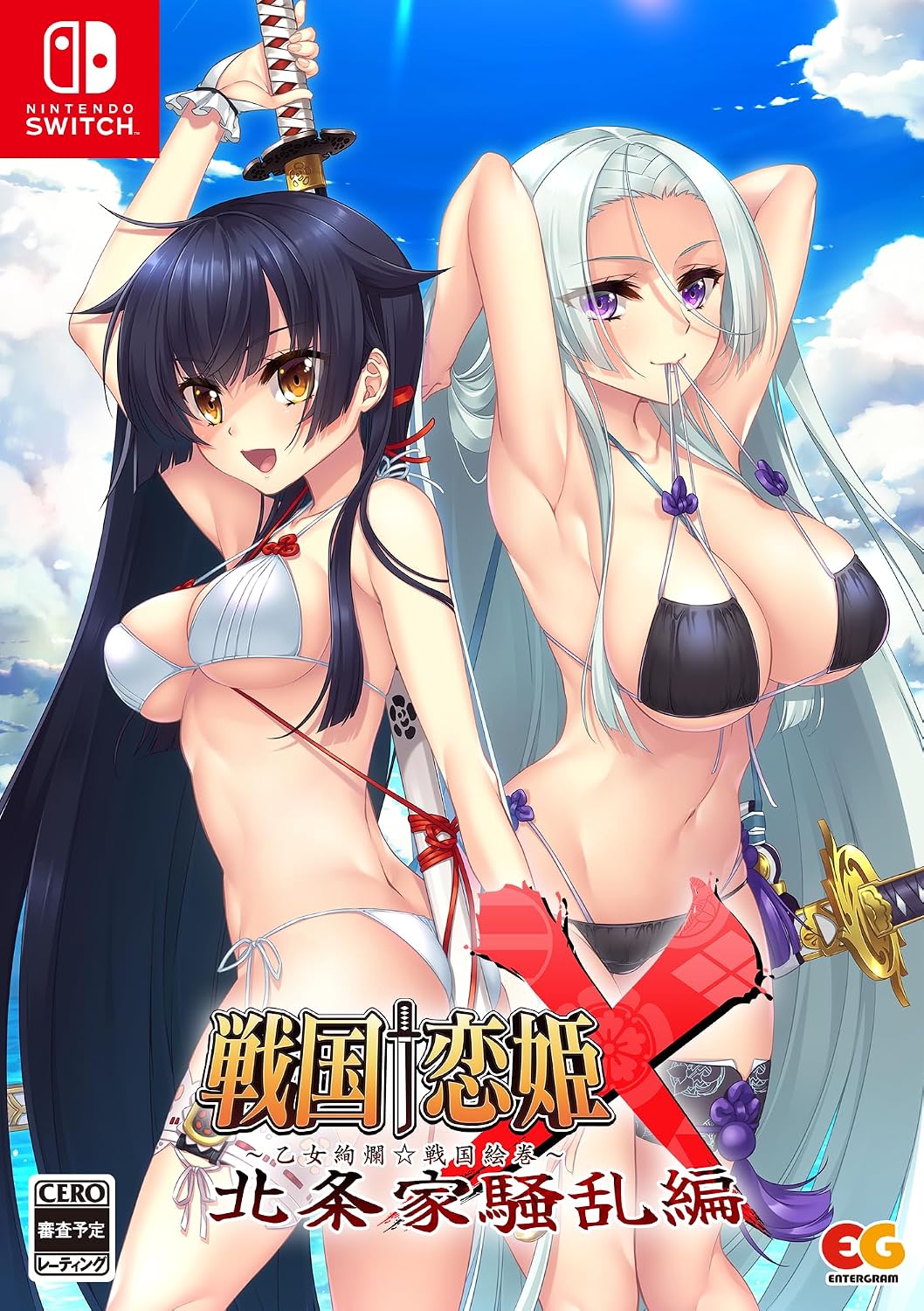 Nintendo Switch Sengoku Koihime X Hojo Family Turmoil Limited Edition - official Japanese collector edition