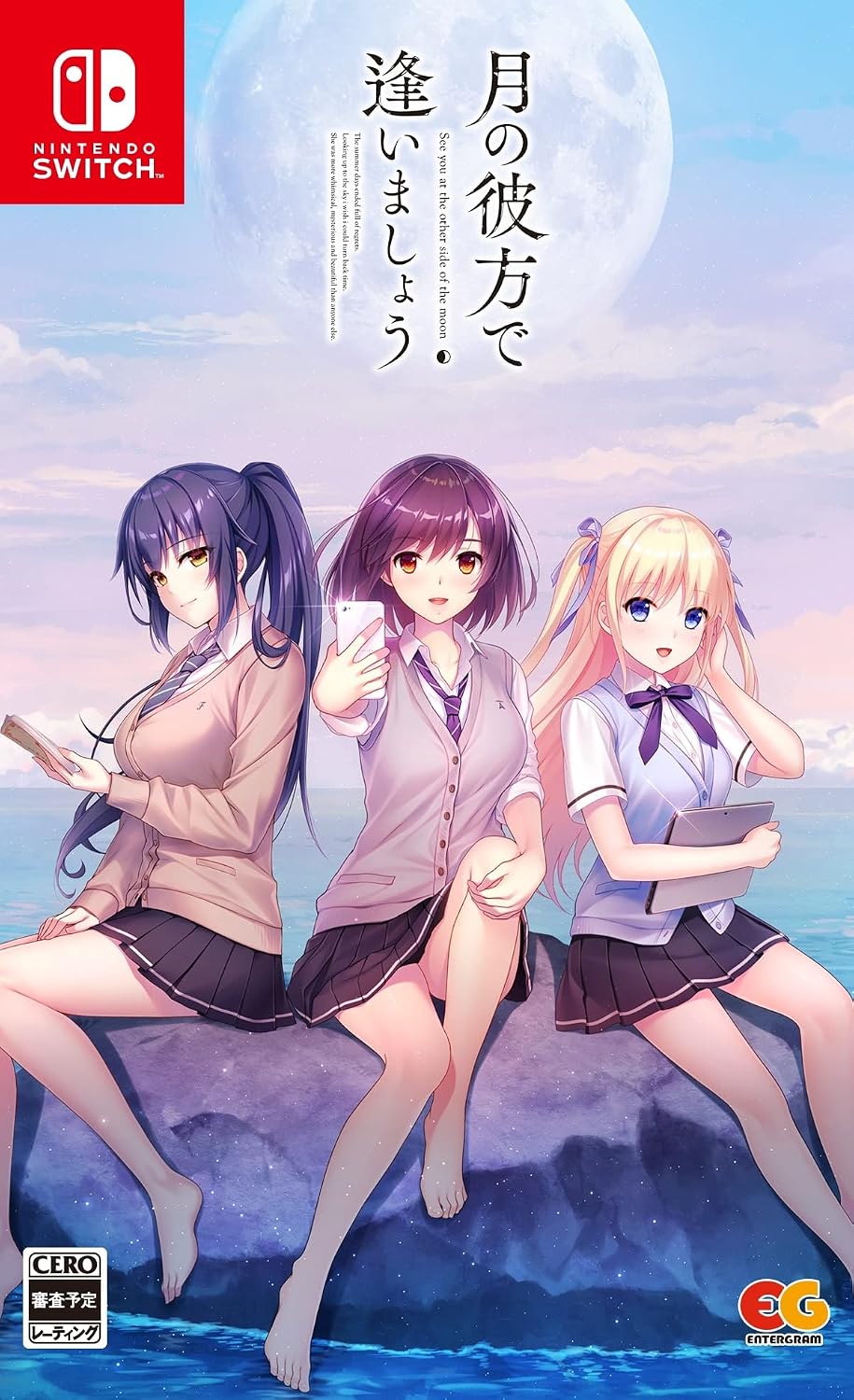 Nintendo Switch Tsuki no Kanata de Aimashou - official Japanese front cover