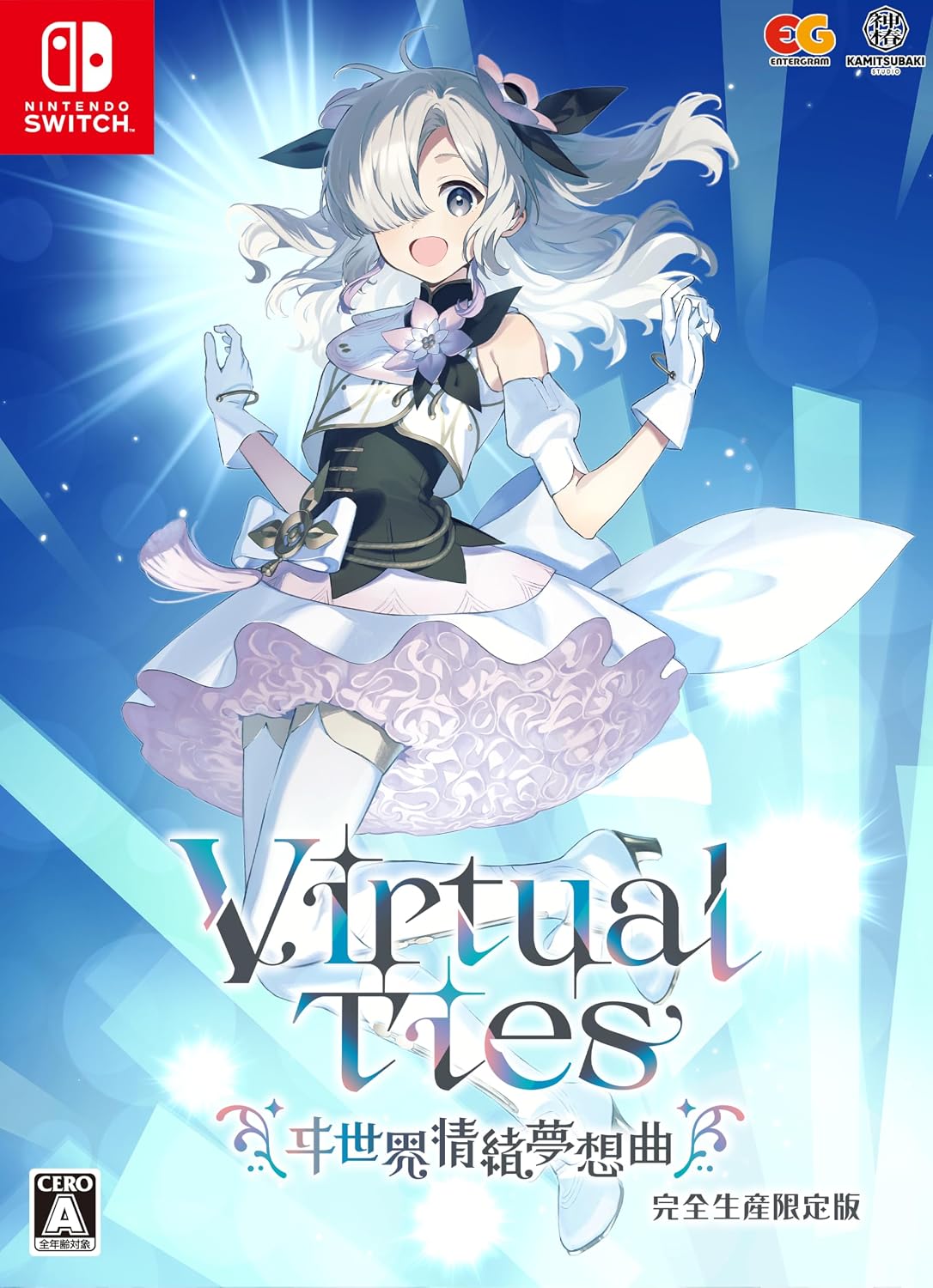 Virtual Ties Limited Edition - official Japanese Nintendo Switch collector box front explicitly marked complete production limited edition