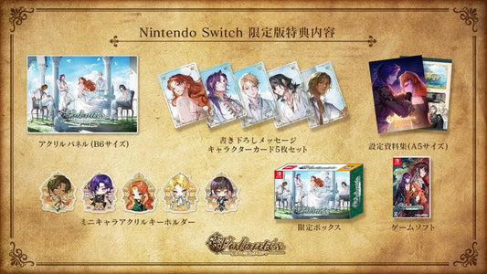 Nintendo Switch Volonte Witch and Ghost Limited Edition - official Japanese collector edition