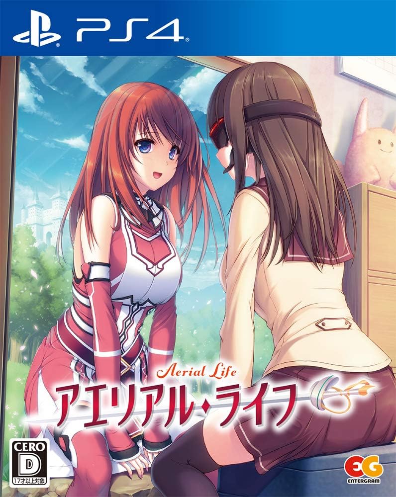 PlayStation 4 Aerial Life - Japanese front cover