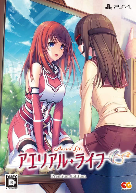 PlayStation 4 Aerial Life Premium Edition - Japanese front cover