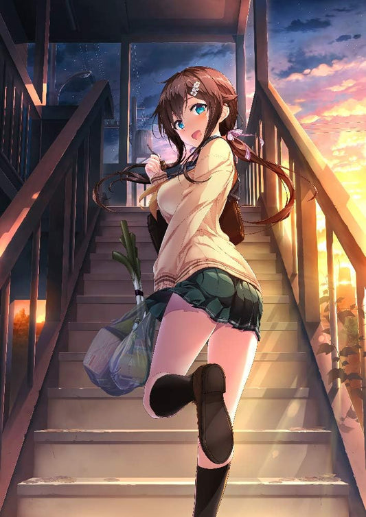 PlayStation 4 Aikagi: Together with You Pack - Japanese front cover illustration