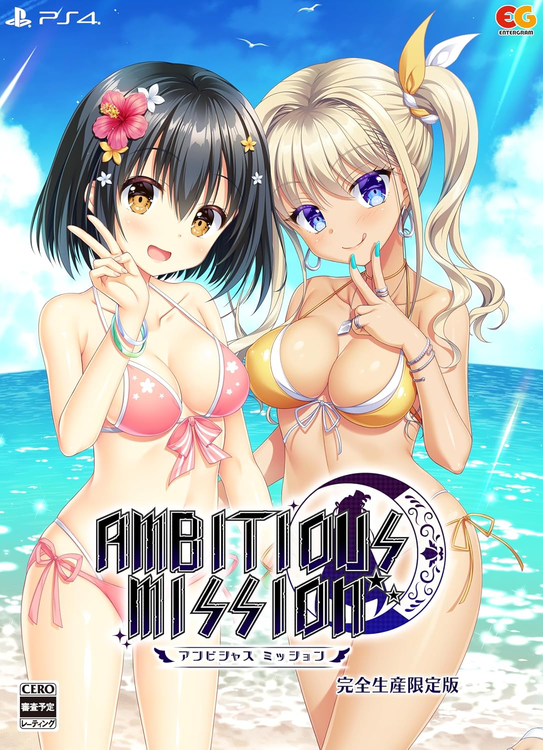 PlayStation 4 Ambitious Mission – Limited Edition - Japanese front cover