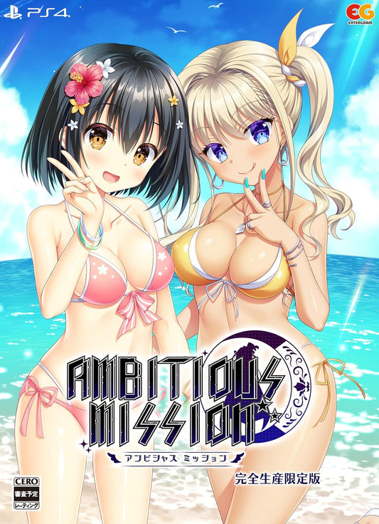 PlayStation 4 Ambitious Mission – Limited Edition - Japanese front cover