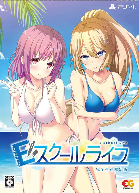 PlayStation 4 E School Life Limited Edition - official Japanese front cover