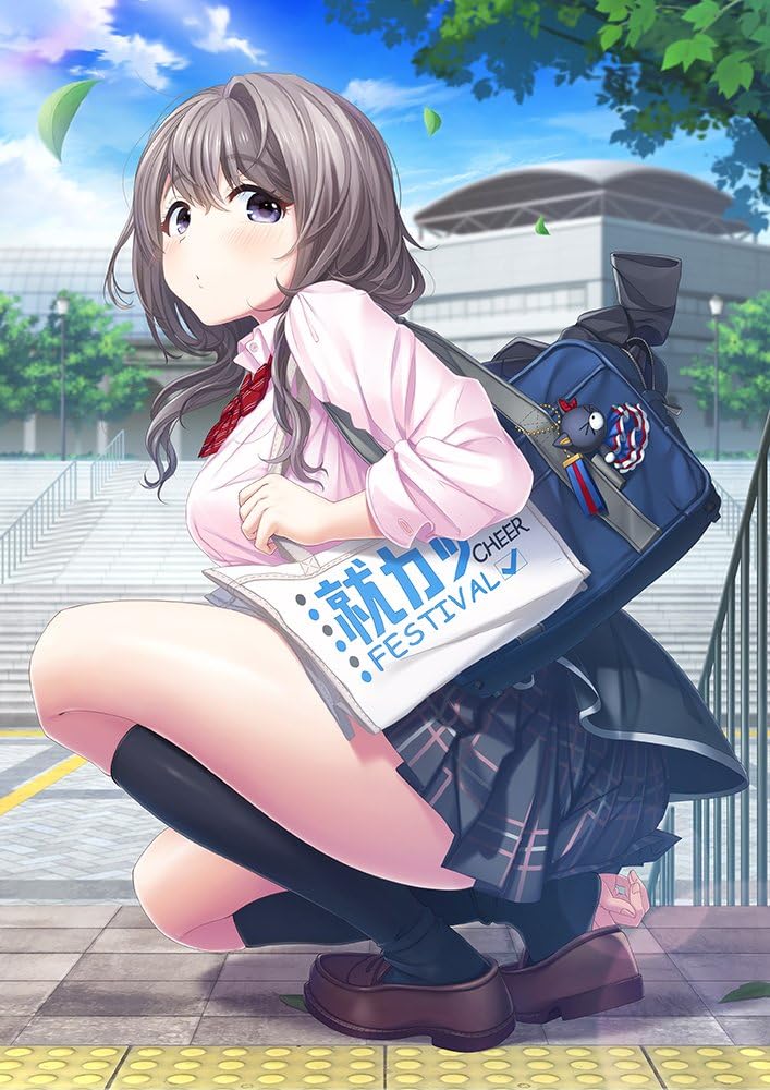PlayStation 4 Mikagami Sumika no Seifuku Katsudou - Japanese front cover illustration