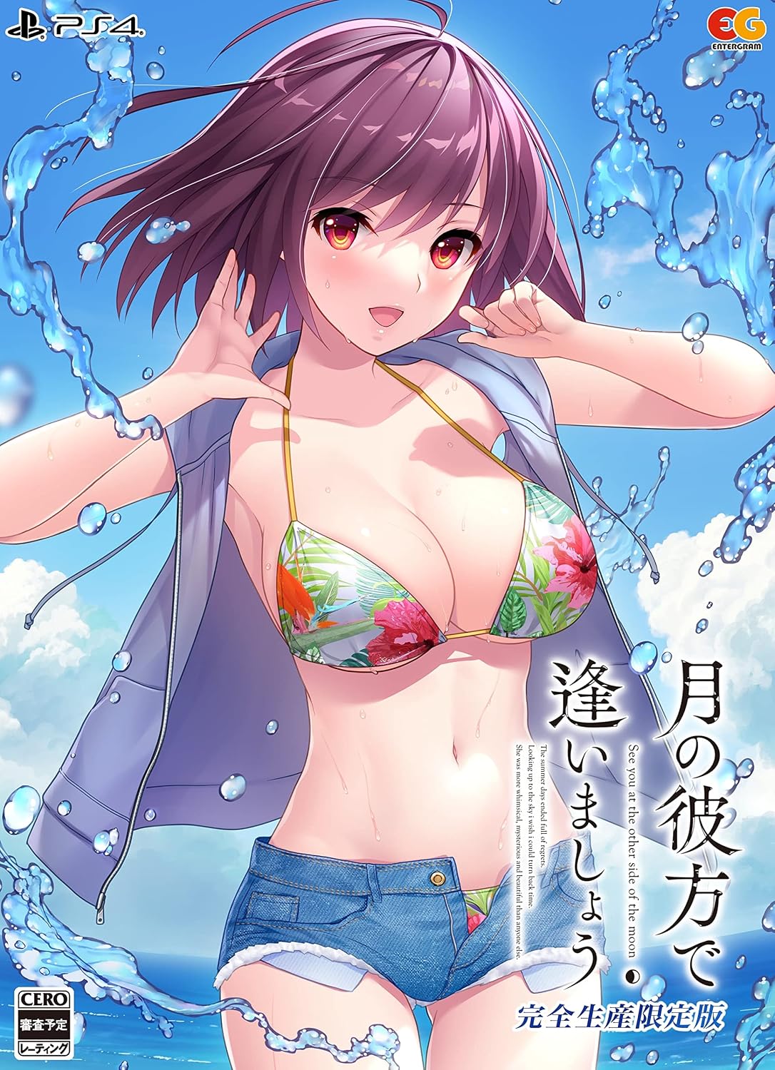 PlayStation 4 Tsuki no Kanata de Aimashou Limited Edition - Japanese front cover