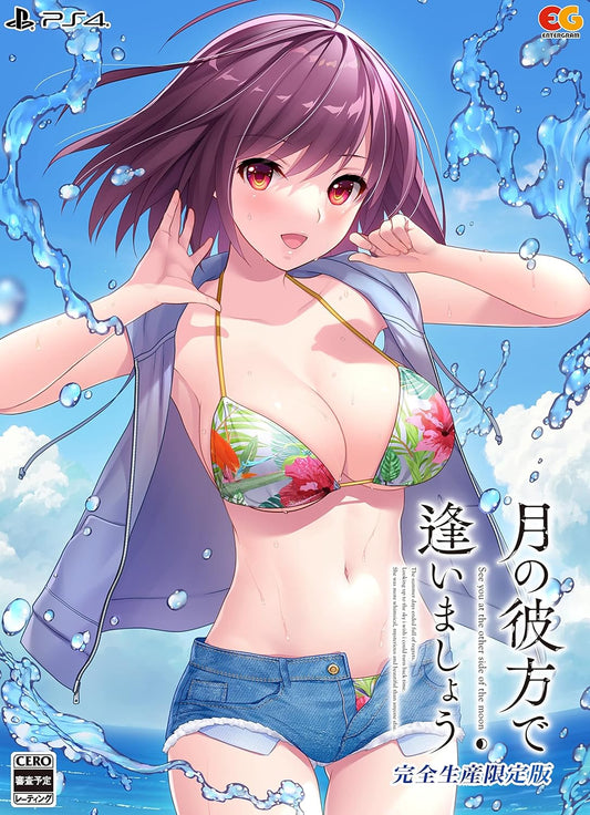 PlayStation 4 Tsuki no Kanata de Aimashou Limited Edition - Japanese front cover