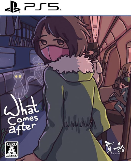 PlayStation 5 What Comes After - official Japanese physical edition cover