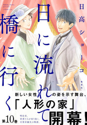 Aizoban Comics Hi ni Nagarete Hashi ni Iku Vol. 10 official Shueisha product image 3