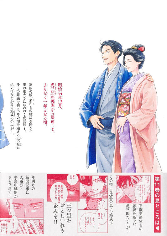 Aizoban Comics Hi ni Nagarete Hashi ni Iku Vol. 11 official Shueisha product image 1