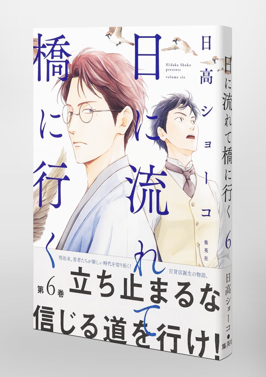 Aizoban Comics Hi ni Nagarete Hashi ni Iku Vol. 6 official Shueisha product image 5