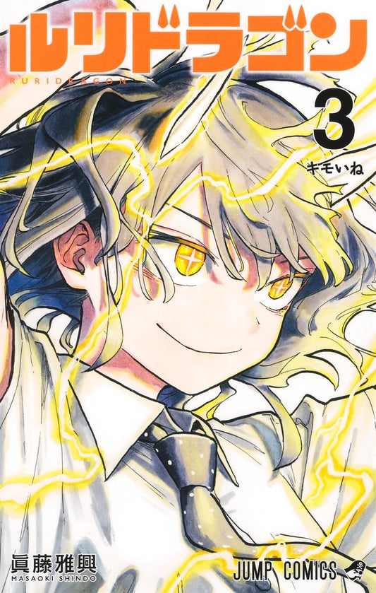 RuriDragon Vol. 3 Japanese paperback cover