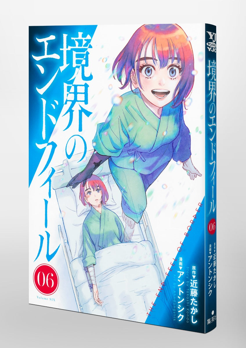 Young Jump Comics Boundary end feel Vol. 6 Japanese paperback cover