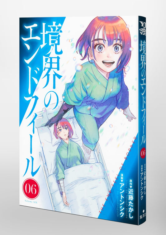 Young Jump Comics Boundary end feel Vol. 6 Japanese paperback cover