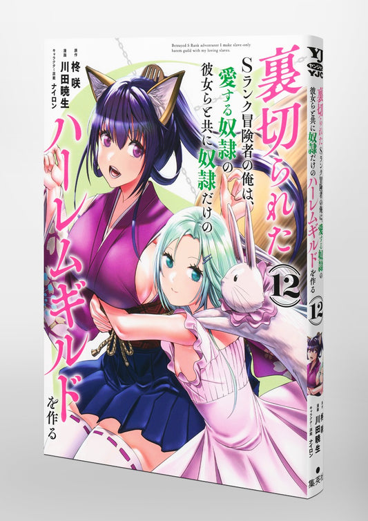 Young Jump Comics The Betrayed S-Rank Adventurer Builds a Slave-Only Harem Guild with His Beloved Slave Girls Vol. 12 Japanese paperback cover