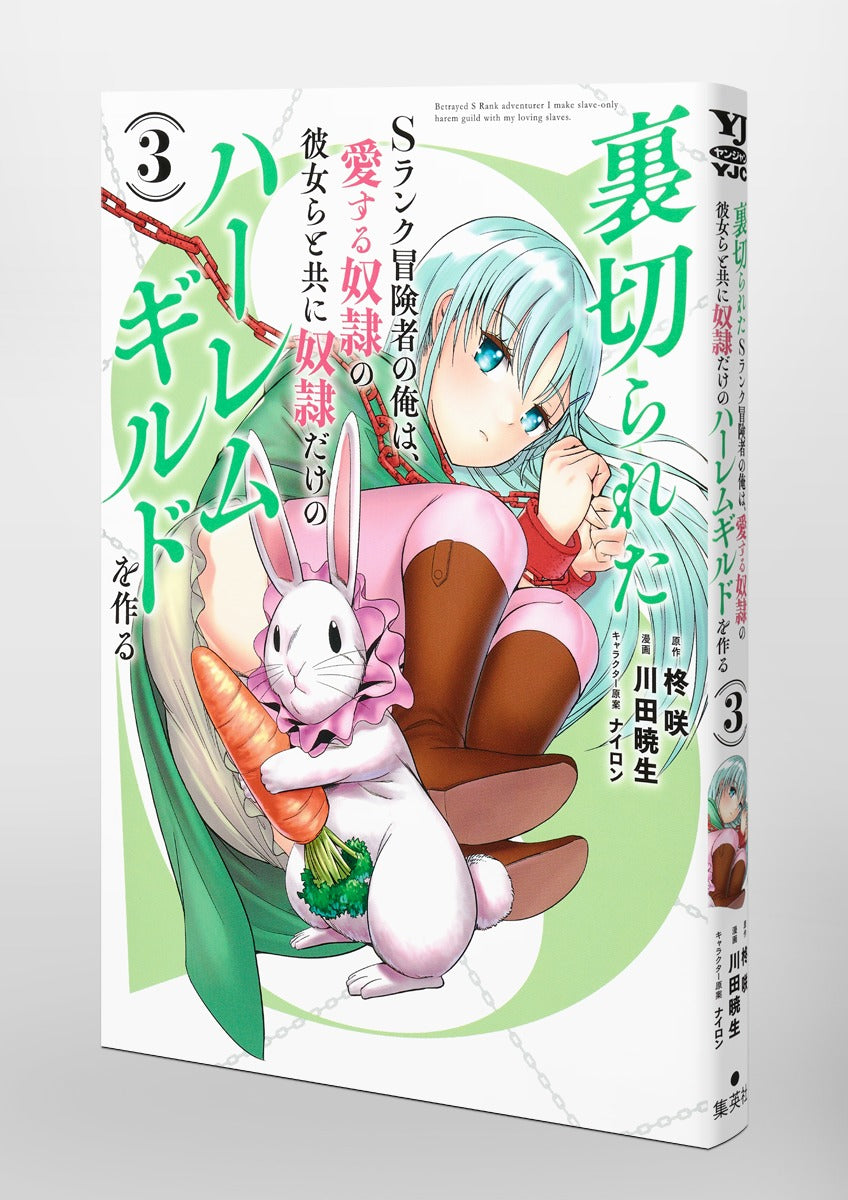 Young Jump Comics The Betrayed S-Rank Adventurer Builds a Slave-Only Harem Guild with His Beloved Slave Girls Vol. 3 Japanese manga preview page 5