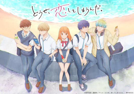 Anyway, I’m Falling in Love with You Vol. 2 Blu-ray Box - product image 1