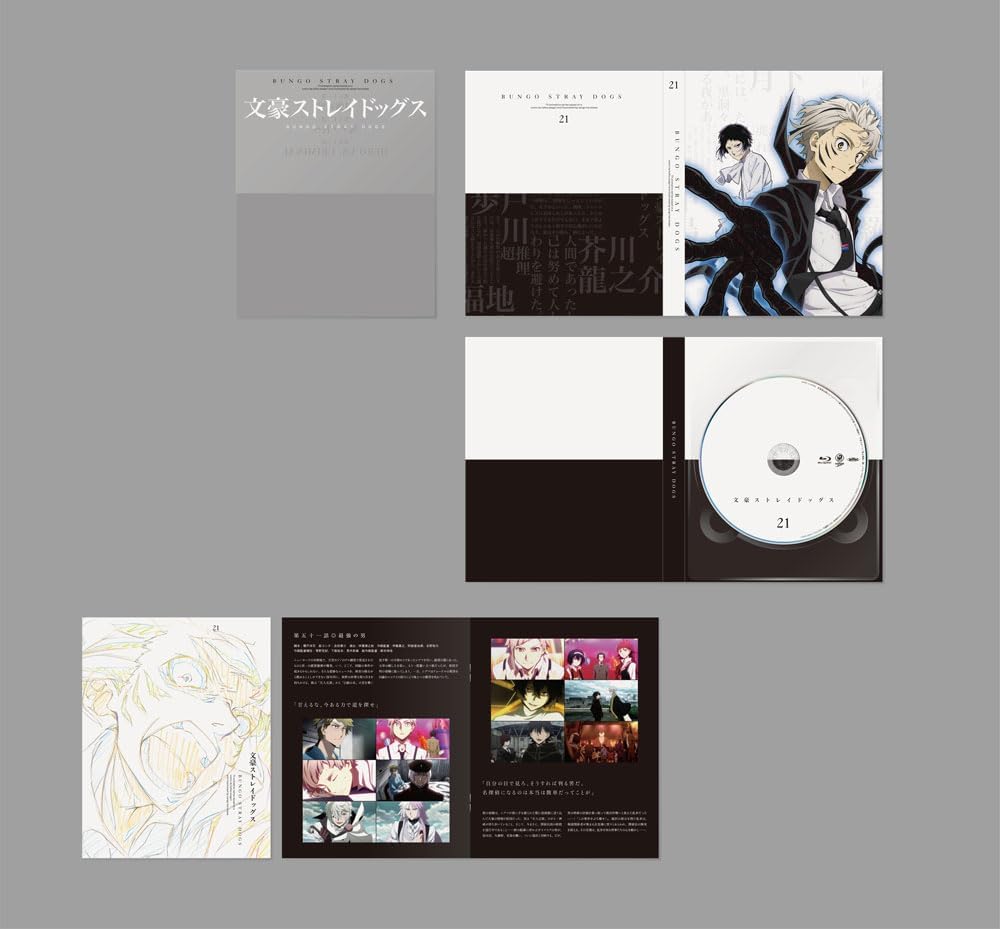 Bungo Stray Dogs Vol.21 Blu-ray - product image 1