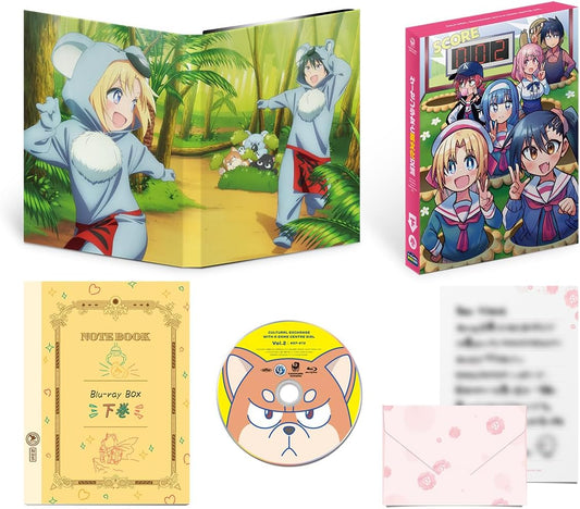 Cultural Exchange with a Game Centre Girl Part 2 Blu-ray cover