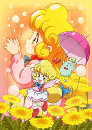 Floral Magician Mary Bell Anniversary Blu-ray Box - product image 3